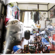 Illustration for article titled Inside the Rooms of Female Otaku